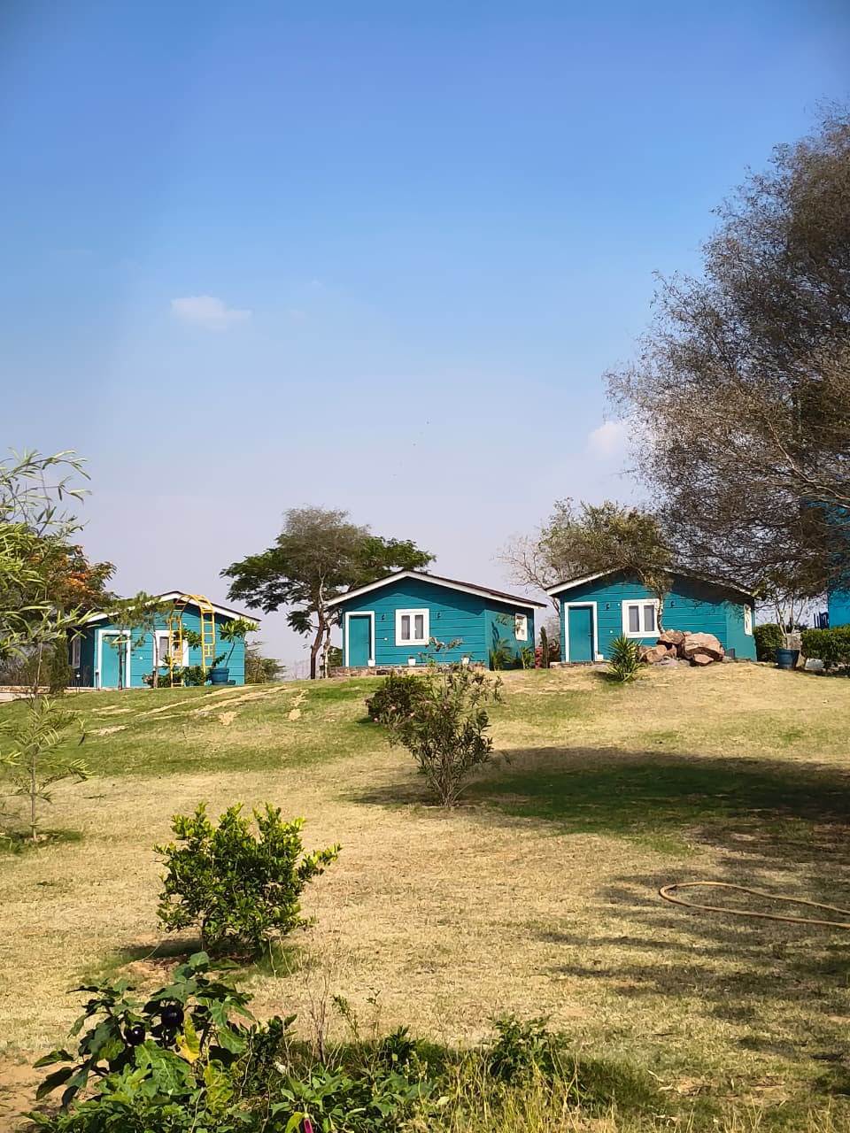 Farm Stay
